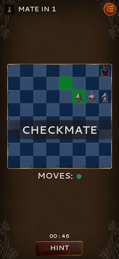 Chess Puzzle Screen 2