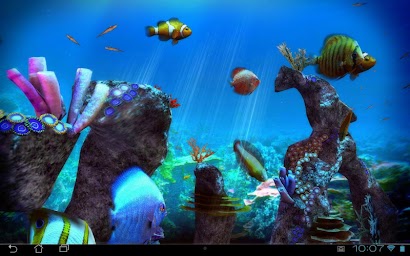 Tropical Ocean 3D LWP