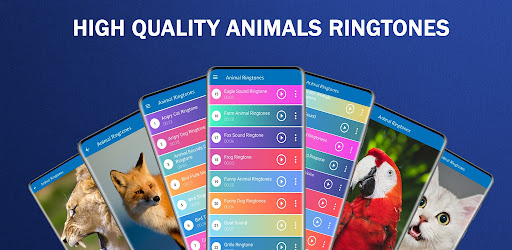 Android application Animal Sounds: Animal Ringtone screenshort