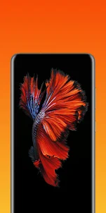 wallpaper iphone 4k