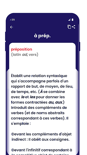 Dictionnaire Francais Screen 3
