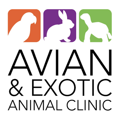 Avian exotic best sale clinic