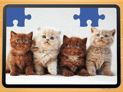 Cute cat puzzle game