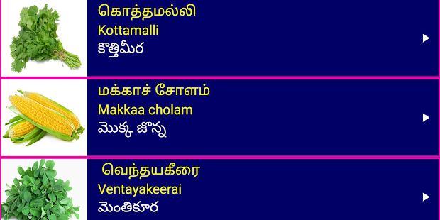 Learn Tamil From Telugu Screenshot