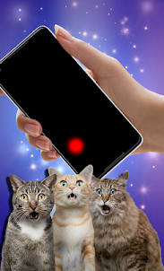 Moving laser pointer for cats