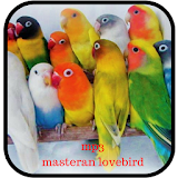 Mp3 Masteran Lovebird icon