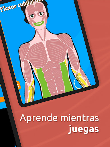 Atlas Anatomía: Cuerpo Humano screenshot 10