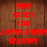 Guide for Angry Birds Seasons icon