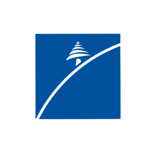 BLOM-CLIQ logo