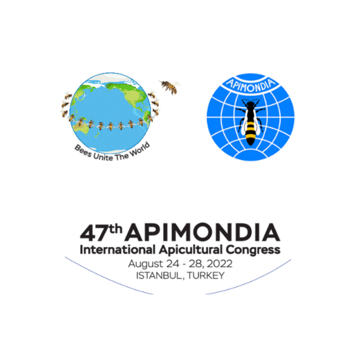 APIMONDIA2022  Icon