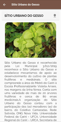 Educação Aya - Gesso