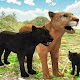 Panther Family Simulator