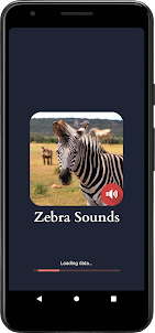 Zebra Sounds