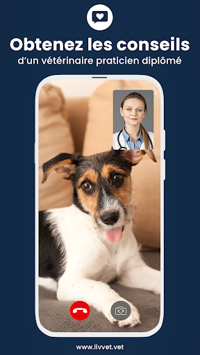 LivVet Screen 2