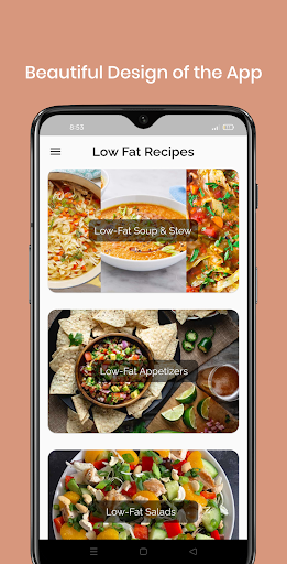 Low Fat Recipes (Offline) Screen 2