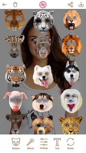 Animal Face Changer