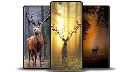 Deer Wallpapers