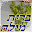 ברית מילה Download on Windows