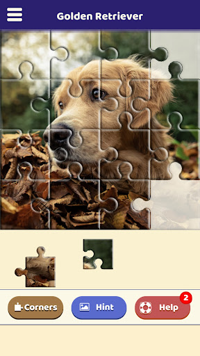 Golden Retriever Puzzle