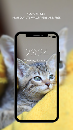 Screenshot of Cute Cat Wallpaper HD