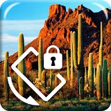 Cactus  Plant Screen Lock icon