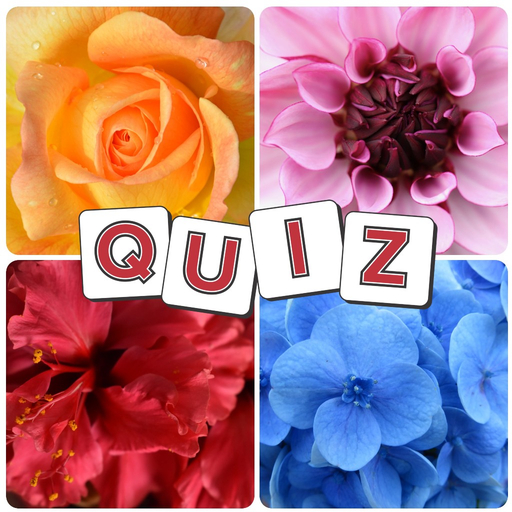 Trivia : Flower Star Quiz logo