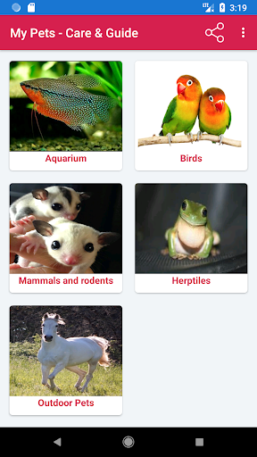 My Pets - Care & Guide Screen 2