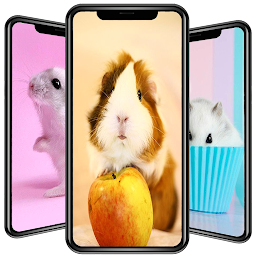 Icon image Cute Hamster Wallpapers