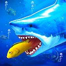 Download Hungry Shark Attack Fish Games on PC (Emulator) - LDPlayer