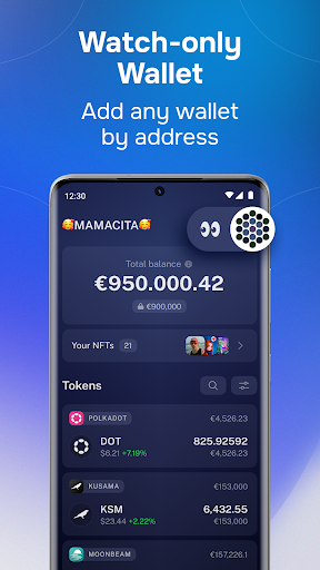 Nova Polkadot Wallet 8