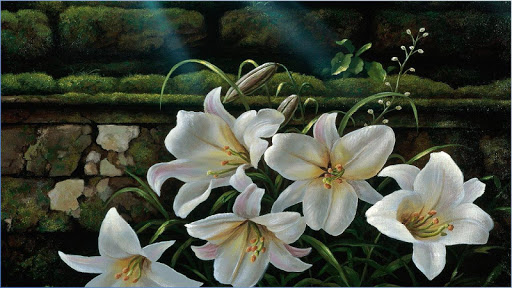Android application Nice Flower Wallpapers screenshort