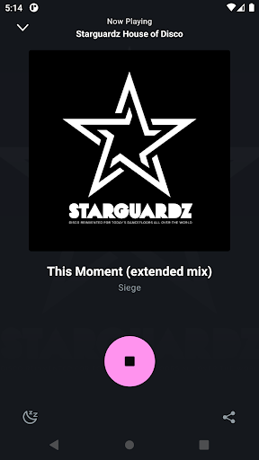 Starguardz House of Disco Screen 2