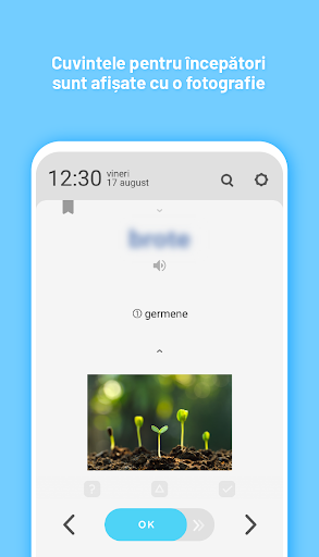 WordBit Neerlandeză (NLRO) Screen 2