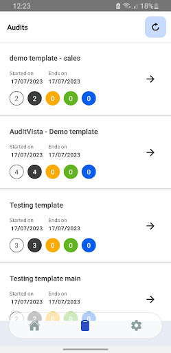 AuditVista Screen 3