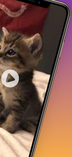 Likee Music & Video Downloader Screen 3
