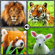 Top 48 Tools Apps Like Animal sounds with pictures 2020 - Best Alternatives