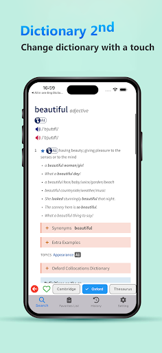 Cambrid English Dictionary Screen 3