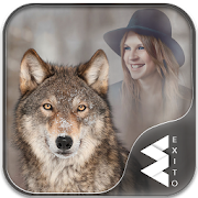 Wolf Photo Frames  Icon