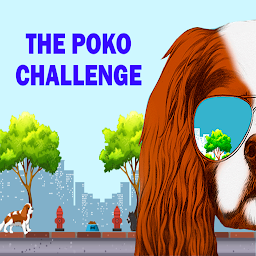 Icon image VTV - The Poko Challenge