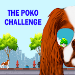 VTV - The Poko Challenge