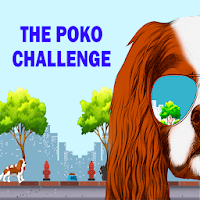 VTV - The Poko Challenge