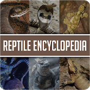 Animal Encyclopedia of Reptiles
