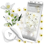 Cover Image of Descargar Tema del lanzador de flores blancas  APK