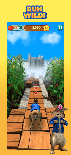 Peter Rabbit Run! 1.0.8 APK + Mod (Unlimited money) for Android