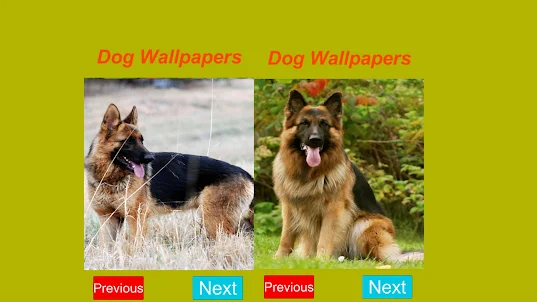 Cute Dogs Wallpaper 4K Sim