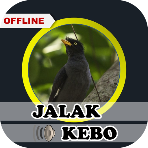 Suara Jalak Kebo Gacor Ampuh logo