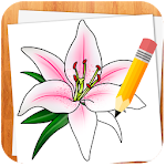 Cover Image of Download How to Draw Flowers  APK