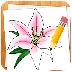 Aplicativo para aprender desenhar flores e plantas grátis