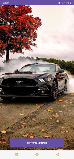 Ford Mustang Wallpapers Screen 3