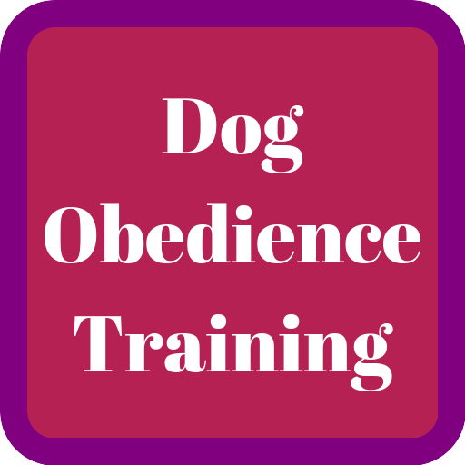 Dog Obedience Training